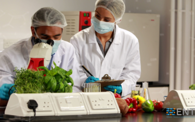 ¿Cuáles son los beneficios de implementar RPA en la industria alimenticia?